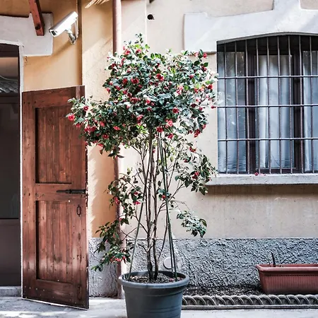 Mysa - Intimo Bilocale In Porta Romana Milano